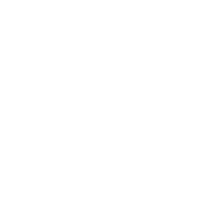 行业领军企业